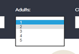 hotel website screen2