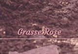 missdior screen2